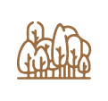 oberoi realty